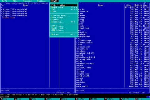 Linux text console tty mc screenshot with snapscreenshot terminal / console snapshotting program
