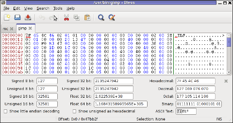 Bless GUI hex editor Debian Linux tabs opened screenshot