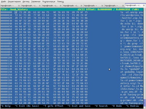 Chexeditor FreeBSD 7.2 OS Screenshot