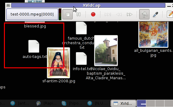 xvidcap screenshot main menu