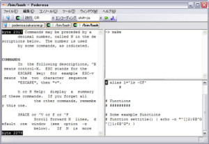 windows terminal emulator ssh